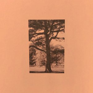 哪里可以看三级片
